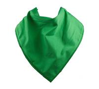 BibblePlus Dignity Bibs Children's Bandana Bib/Clothing Protector - Size 2 (ROBIN HOOD)
