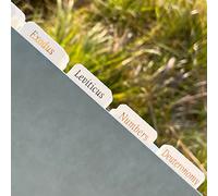 Bible Tabs for Women/Men/Kids, White Bible Tabs with Gold Large Print Easy to Read, Catholic Bible Tabs Old and New Testament Bible Journaling Tabs Catholic Christian Gift