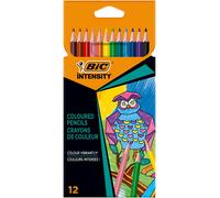 BIC Color Up Colouring Pencils – Assorted Colours – Pack of 12