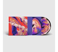 Bicep - Isles (Picture Disc) [VINYL]