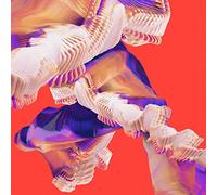 Bicep - Isles (Picture Disc) [VINYL]