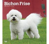 Bichon Frise | 2025 12 x 24 Inch Monthly Square Wall Calendar | Plastic-Free | BrownTrout | Animals Dog Breeds