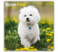 Bichon Frise Calendar 2025 Square Dog Breed Wall Calendar - 16 ... 9781804603154