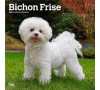 Bichon Frise | 2026 12 x 24 Inch (Hanging) Monthly Square Wall Calendar | Plastic-Free | BrownTrout | Animals Dog Breeds
