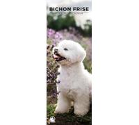 Bichon Frise 2026 Wall Calendar, 12-Month Slim Format, Made in England