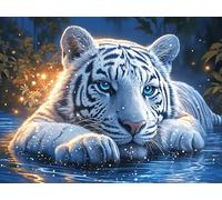 Bichon Frise 300 Pc Classic Jigsaw Puzzle Colorful Fantasy Wildlife Puzzle for Adults Hard Challenging Hobby Home Decor Poster High-grade Rigid Cardboard 300 PCS/40x28cm