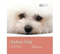 Bichon Frise: Bichon Frise - Dog Expert