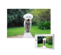Bichon Frise Bokeh Pets Dogs Park White Dogs,1000 Pieces Wooden Jigsaw Family Game Jigsaw Puzzles for Adults Teens Home Decor