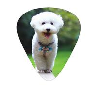 Bichon Frise Bokeh Pets Dogs Park White Dogs,12 Pcs Guitar Pick,3 Different Thickness Plectrums for Acoustic Guitar Bass Ukulele (0.46mm 0.96mm 0.71mm)