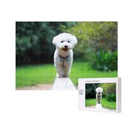 Bichon Frise Bokeh Pets Dogs Park White Dogs,300 Pieces Wooden Jigsaw Family Game Jigsaw Puzzles for Adults Teens Home Decor