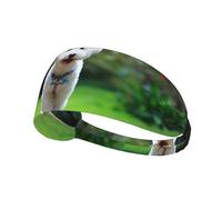 Bichon Frise Bokeh Pets Dogs Park White Dogs,Sports Sweatband for Unisex Multi Headband Elastic Exercise Hairband