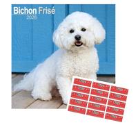 Bichon Frise Calendar 2026 | 16 months | with FREE Organisational Stickers