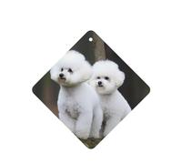 Bichon Frise Car Air Fresheners 6 Pcs, Funny Hanging Car Air Fresheners Cute Long Lasting Scented Mirror Hanging Decoration Ornaments Gift Interior Decor Accessories For Men Women