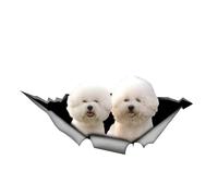 Bichon Frise Car Sticker 15 cm (5.9 Inch) Bichon Frise Car Sticker 3D Ripped Car Sticker Waterproof Pet Dog Reflective Sticker Bichon Frise Funny Sticker Decor