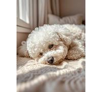 Bichon Frise Diamond Painting DIY Kits 5D Diamond Art Full Round Drill Beads by Number Stitch Handmade Arts and Crafts for Living Room Home Wall Decor 12x16 inch / 30x40cm