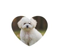 Bichon Frise Dog Car Air Fresheners Cards 4 Pcs Long Lasting Car Fresheners Gifts for Men Women Auto Aromatherapy Tablets Hanging Scented Card Rearview Mirror Pendant - Lavender Scent