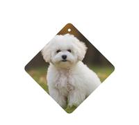 Bichon Frise Dog Car Air Fresheners Cards 4 Pcs Long Lasting Car Fresheners Gifts for Men Women Auto Aromatherapy Tablets Hanging Scented Card Rearview Mirror Pendant - Lavender Scent