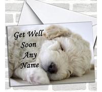 Bichon Frise Dog Customised Get Well Soon Greetings Card- Get Well Soon Cards | Get Well Soon Card | Sorry You are Poorly