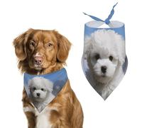 Bichon Frise Dog Dog Bandana Washable & Adjustable Triangle Scarf, Breathable Pet Scarf for Small Medium Large Pets, Cute Fashion Pet Accessory