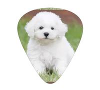 Bichon Frise Dog Guitar Plectrums 12 Pieces For Ukulele Bass Instrument Accessories
