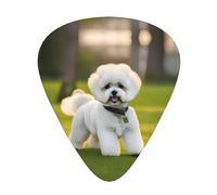 Bichon Frise Dog on Grass Print 12pcs Guitar Cubes for Guitar and Ukulele, Unique Guitar Gift