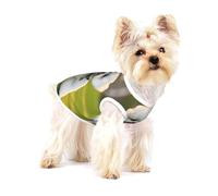 Bichon Frise Dog on The Grass Print Dog Shirt,Dogs Shirt Vest for Small Breeds Like Chihuahuas,Yorkies, and Puppies