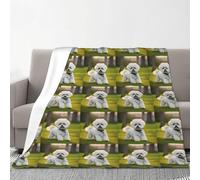 Bichon Frise Dog On The Grass Print Flannel Blanket 70 X 80 In Cozy Warm Winter Throw Blanket Camping Or Travel