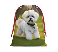 Bichon Frise Dog On The Grass Print Gift Reusable Drawstring Bag For Holiday Birthday Presents Party Seasonal Storage