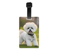 Bichon Frise Dog on the Grass Print Waterproof Luggage Tags Suitcases Identification Labels Business Family Vacations