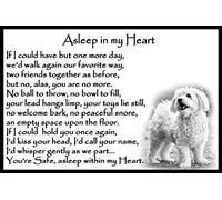 Bichon Frise Dog Pet Memorial Fridge Magnet with Verse - Asleep in My Heart