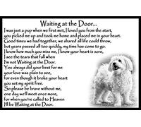 Bichon Frise Dog Pet Memorial Fridge Magnet with Verse - Waiting at The Door