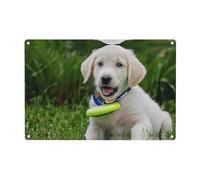 Bichon Frise Dog Print Metal Tin Sign Personalized Garden Tin Signs Art Plaque Poster Wall Decor For Home Bedroom Living Room Club Coffee Shop Decoration