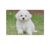 Bichon Frise Dog Print Metal Tin Sign Personalized Garden Tin Signs Art Plaque Poster Wall Decor For Home Bedroom Living Room Club Coffee Shop Decoration