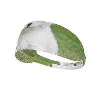 Bichon Frise Dog Print Non-Slip Elastic Running Headband, Sweat Absorbing Stretchy Hair Bands For Gym Yoga, Soft Skin-Friendly Foldable Workout Headband