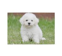 Bichon Frise Dog Printed, 1000 Pieces Jigsaw Puzzles, Wooden Jigsaw Family Game Wall Decor for Adults Teens