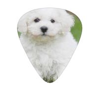 Bichon Frise Dog Printed,12 Pcs Guitar Pick,3 Different Thickness Plectrums for Acoustic Guitar Bass Ukulele (0.46mm 0.96mm 0.71mm)