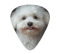 Bichon Frise Dog Printed Guitar Picks 12-Piece Set - Comfortable, Versatile Plectrum for All Guitar Styles & Players
