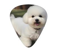Bichon Frise Dog Wzywhj Prints Abs Guitar Picks 12 Piece, Easy Grip Uke Picks For Your Bass, Ukulele, Acoustic Or Electric Guitar