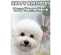 Bichon Frise Occasions Personalised Greeting Card Birthday Fathers Mum PIDOA37