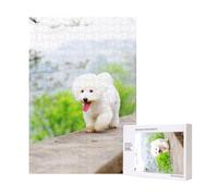 Bichon Frise Park Pets Dogs Bichon Frise Dogs,300 Pieces Wooden Jigsaw Family Game Jigsaw Puzzles for Adults Teens