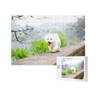 Bichon Frise Park Pets Dogs Bichon Frise Dogs,300 Pieces Wooden Jigsaw Family Game Jigsaw Puzzles for Adults Teens Home Decor