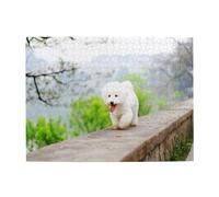 Bichon Frise Park Pets Dogs Bichon Frise Dogs,500 Pieces Puzzles for Adults-Wooden Jigsaw Puzzle for Adults Elderly