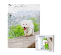 Bichon Frise Park Pets Dogs Bichon Frise Dogs,500 Pieces Wooden Jigsaw Family Game Jigsaw Puzzles for Adults Teens
