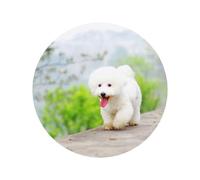 Bichon Frise Park Pets Dogs Bichon Frise Dogs,Acrylic Fridge Magnets Sticker Whiteboard Magnets for Kitchen and Furniture Decoration,Round Shape