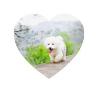 Bichon Frise Park Pets Dogs Bichon Frise Dogs,Acrylic Fridge Magnets Sticker Whiteboard Magnets for Kitchen and Furniture Decoration,Heart Shape
