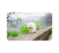 Bichon Frise Park Pets Dogs Bichon Frise Dogs,Floor Mat Diatomaceous Mat Absorbent Non Slip Bath Rug 19.7x31.5in