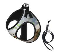 Bichon Frise Park Pets Dogs Bichon Frise Dogs,Pet Harness,Adjustable Reflective Dog Harness,Pet Leash Vest,L