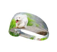 Bichon Frise Park Pets Dogs Bichon Frise Dogs,Sports Sweatband for Unisex Multi Headband Elastic Exercise Hairband