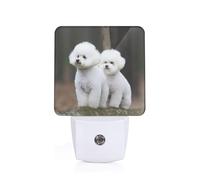 Bichon Frise Printed Led Night Light Plug in Wall with Dusk to Dawn Sensor Plug in Night Light for Hallway,Bathroom,Bedroom,Kitchen,Stairs,Acrylic Energy Efficient Night Lamp