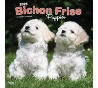 BICHON FRISE PUPPIES 2025 SQUARE WRAP
